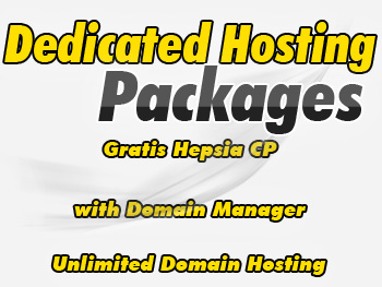 Economical dedicated hosting server provider